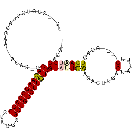 secondary structure