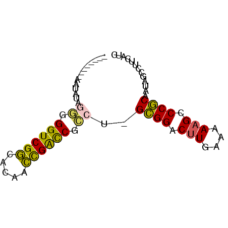 secondary structure