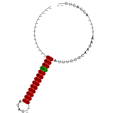 secondary structure