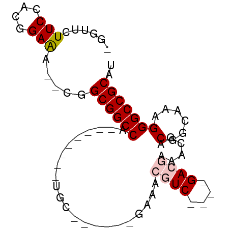 secondary structure