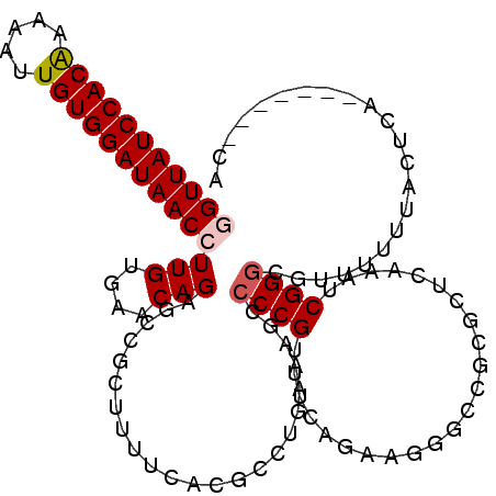 secondary structure