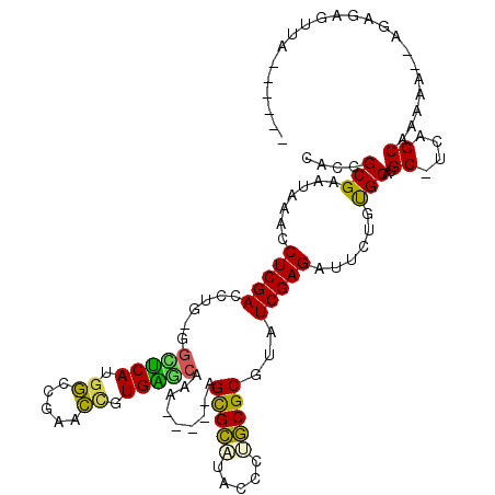 secondary structure