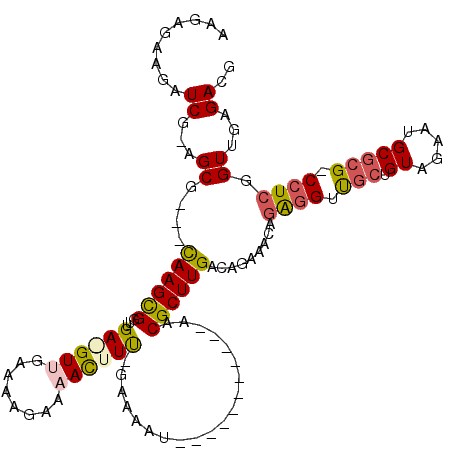 secondary structure