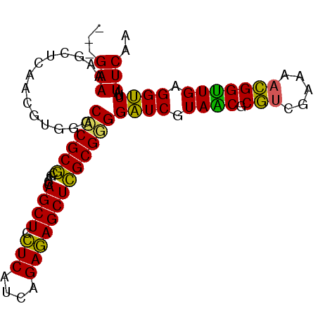 secondary structure