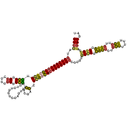 secondary structure