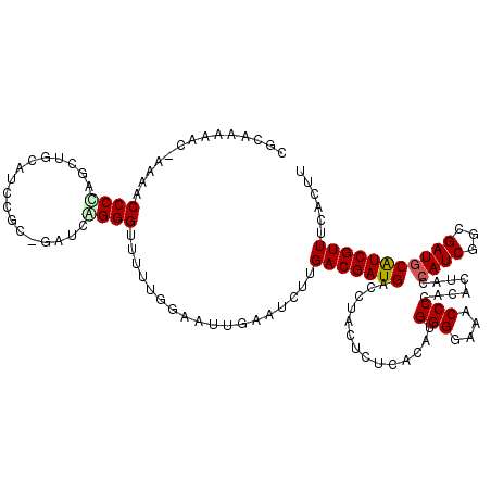 secondary structure