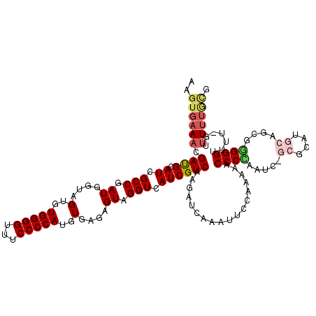secondary structure