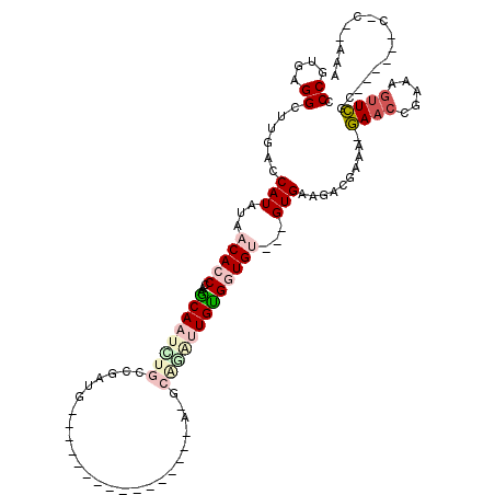 secondary structure