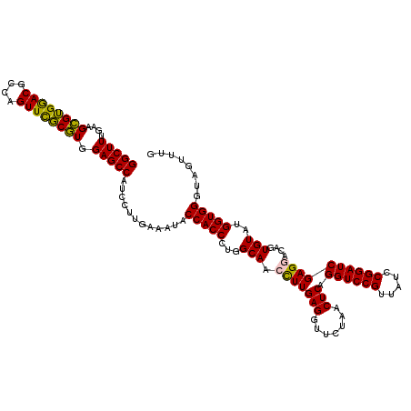 secondary structure