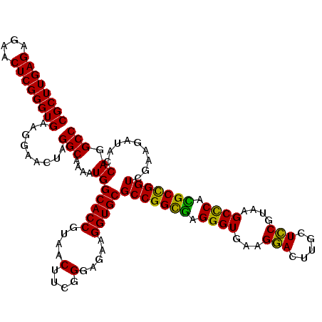 secondary structure