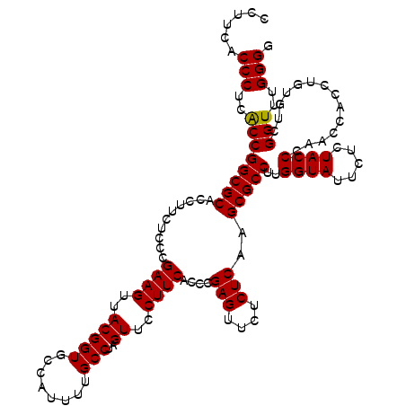 secondary structure