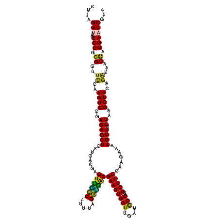 secondary structure