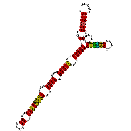 secondary structure