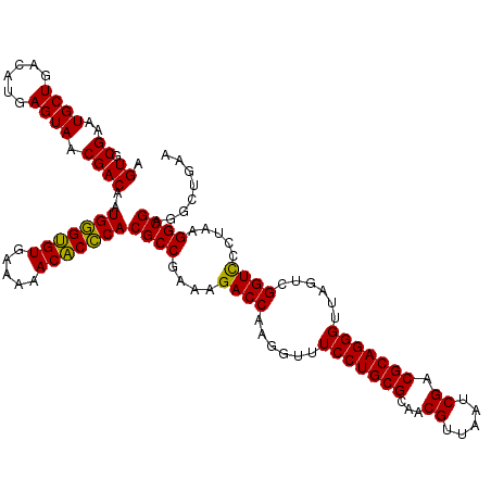 secondary structure