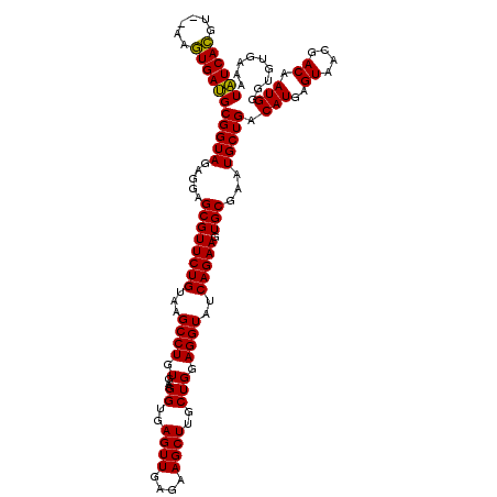 secondary structure