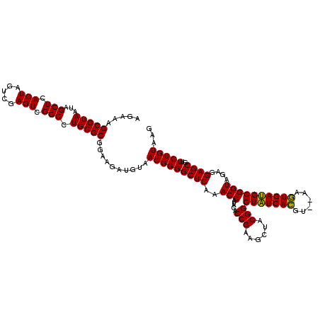 secondary structure