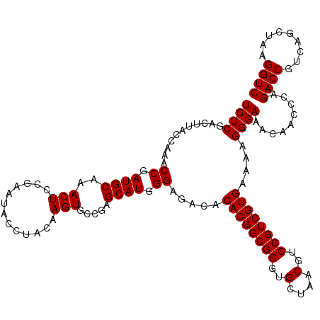 secondary structure