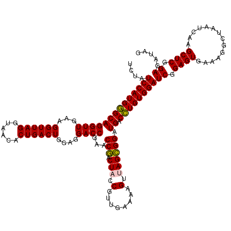 secondary structure