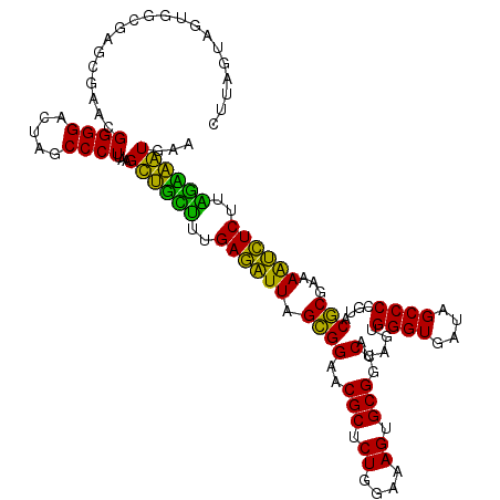 secondary structure