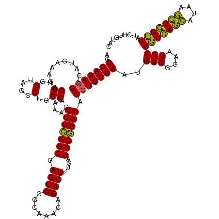 secondary structure