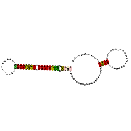 secondary structure
