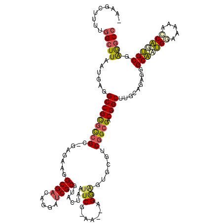 secondary structure