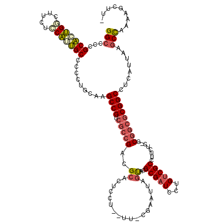 secondary structure