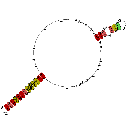 secondary structure