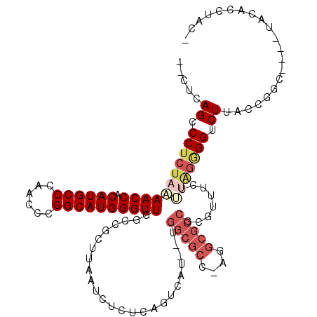 secondary structure
