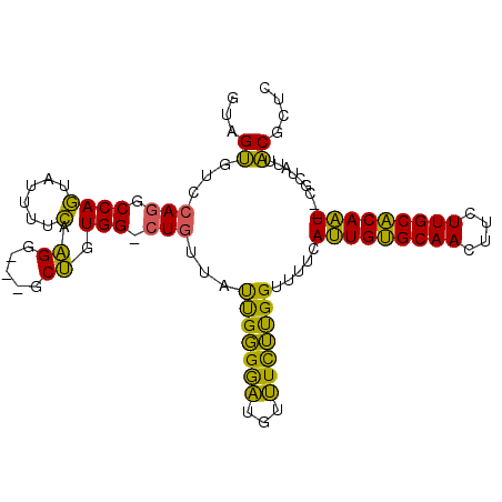 secondary structure