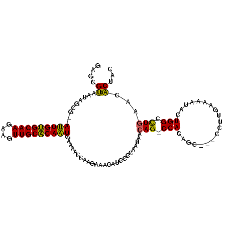 secondary structure