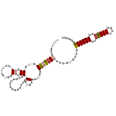 secondary structure
