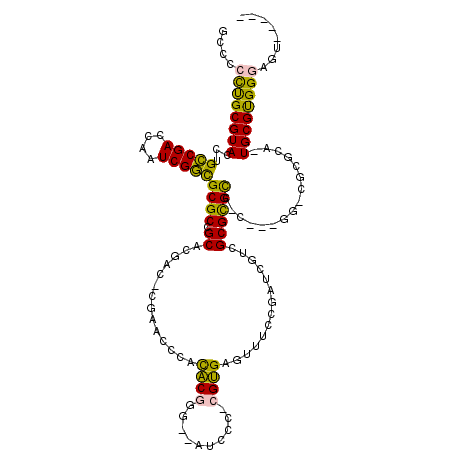 secondary structure
