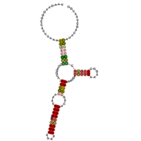secondary structure