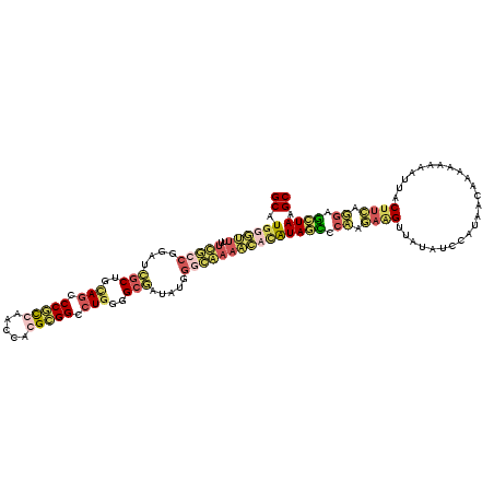 secondary structure