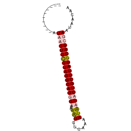 secondary structure