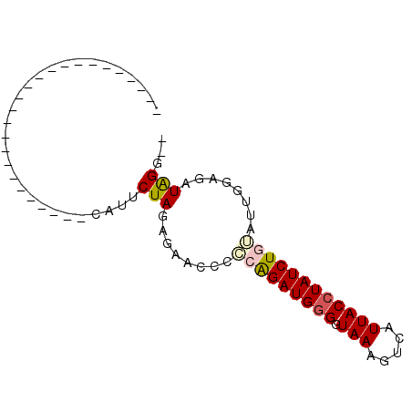 secondary structure