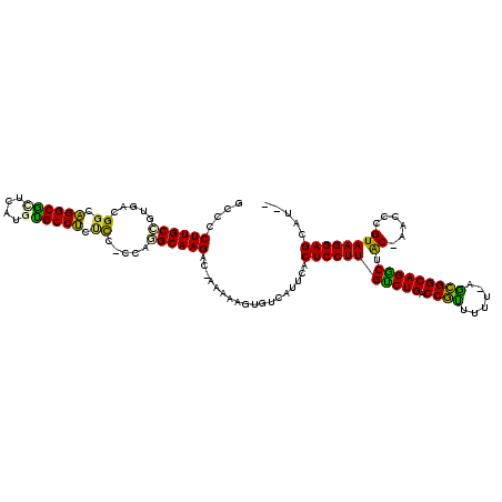secondary structure