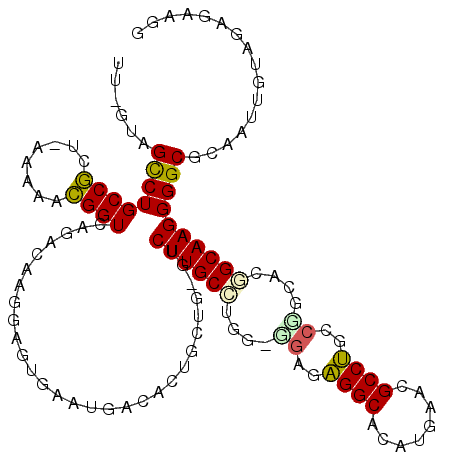 secondary structure