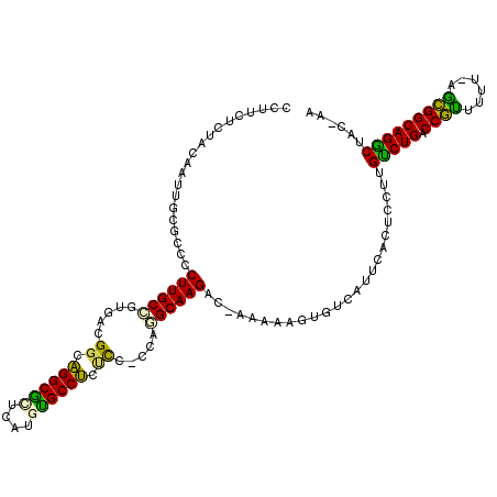 secondary structure