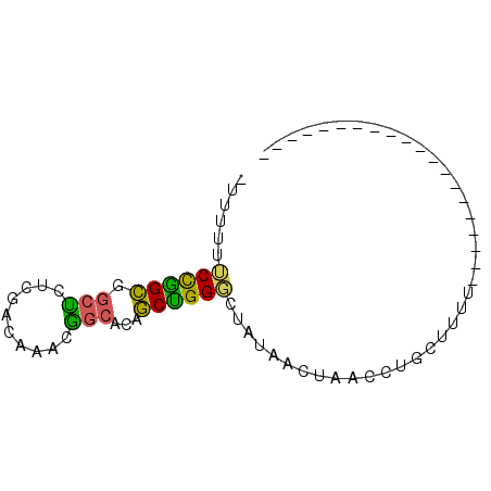 secondary structure