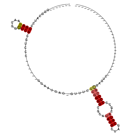 secondary structure