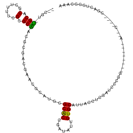 secondary structure