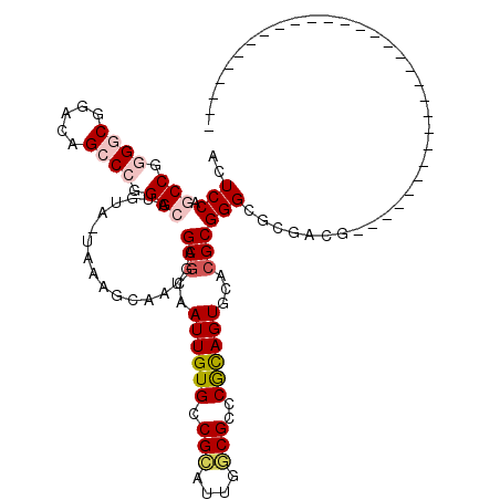 secondary structure
