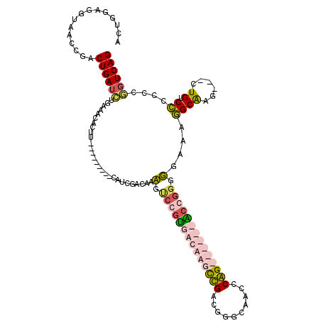 secondary structure