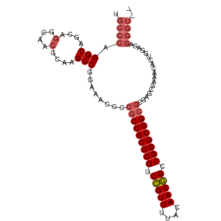secondary structure