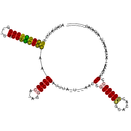 secondary structure
