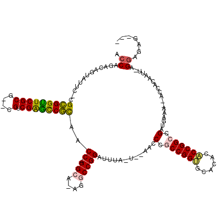 secondary structure