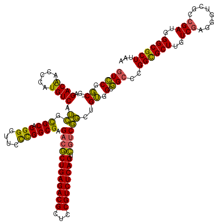 secondary structure