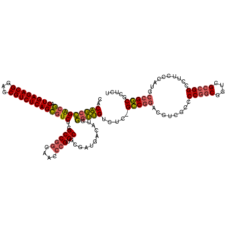 secondary structure
